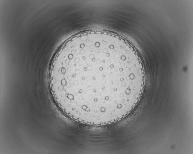 X0000116820839201001291620