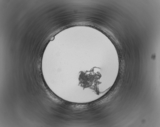 X0000116820841201001291620