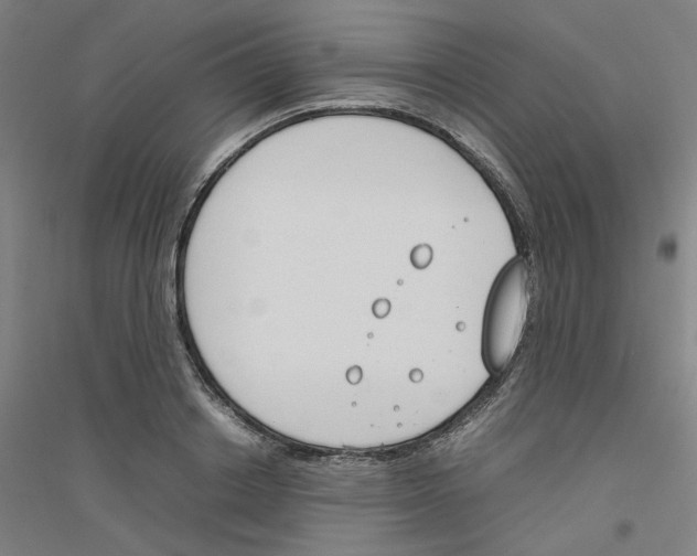 X0000116820842201001291620