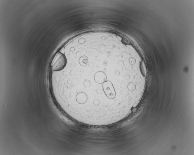 X0000116820843201001291620