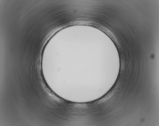 X0000116820844201001291620