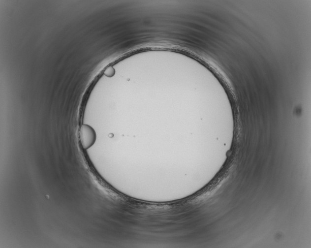 X0000116820845201001291620