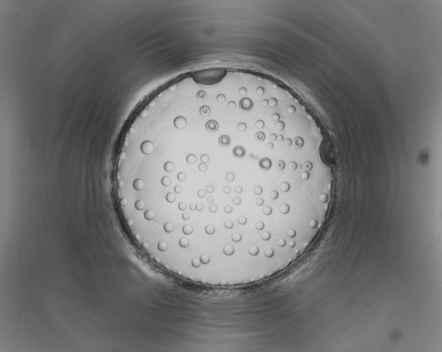 X0000116820846201001291620