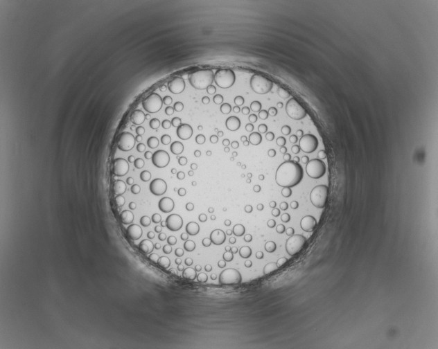 X0000116820848201001291620