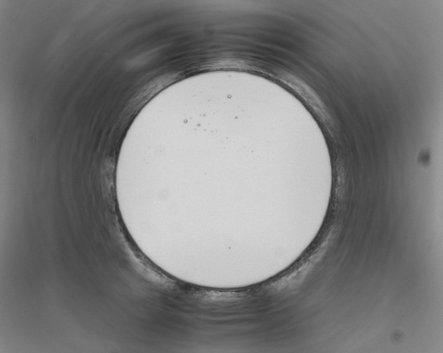 X0000116820849201001291620