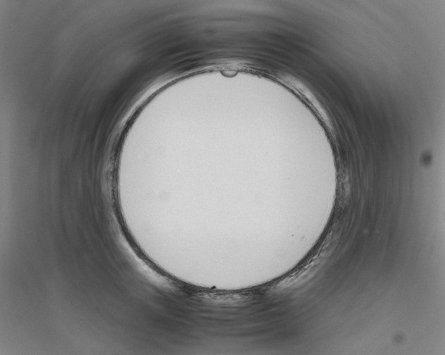 X0000116820851201001291620