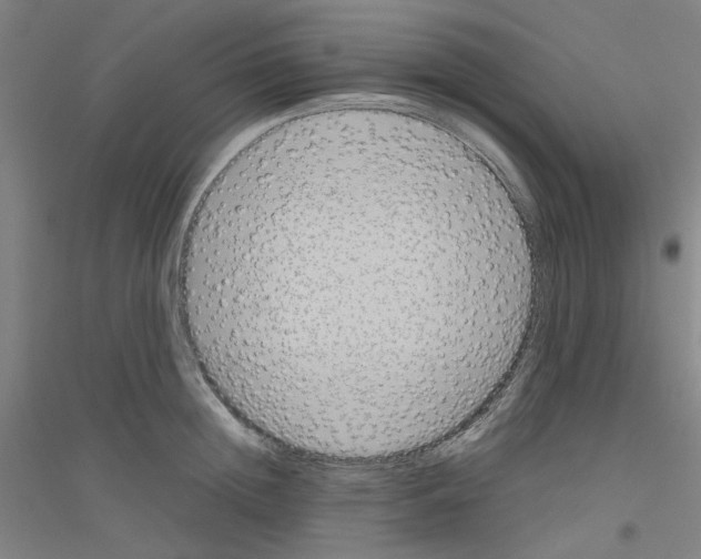 X0000116820852201001291620