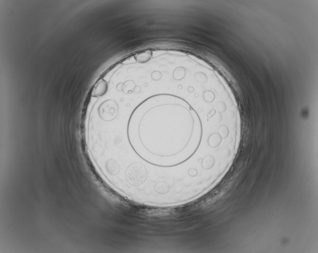 X0000116820853201001291620