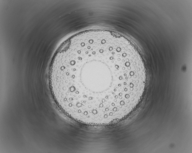 X0000116820854201001291620