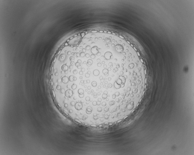 X0000116820855201001291621