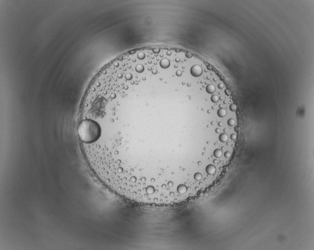 X0000116820856201001291621