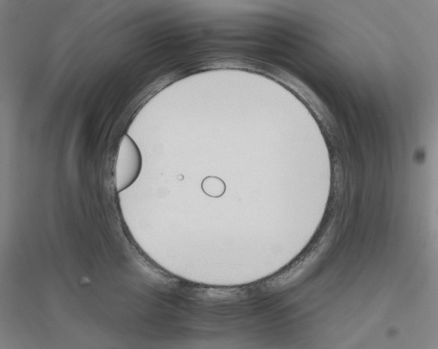 X0000116820857201001291621