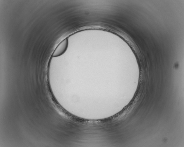 X0000116820858201001291621