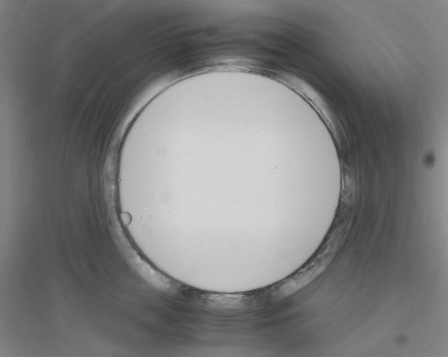 X0000116820859201001291621