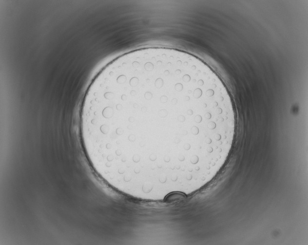 X0000116820862201001291621