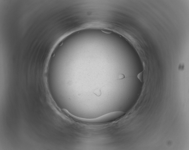 X0000116820864201001291621