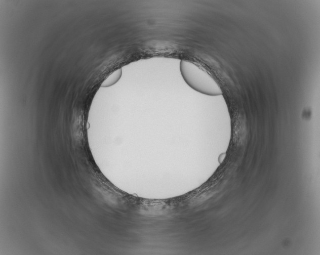 X0000116820866201001291620