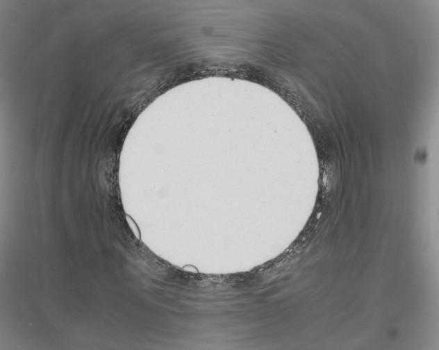 X0000116820867201001291620