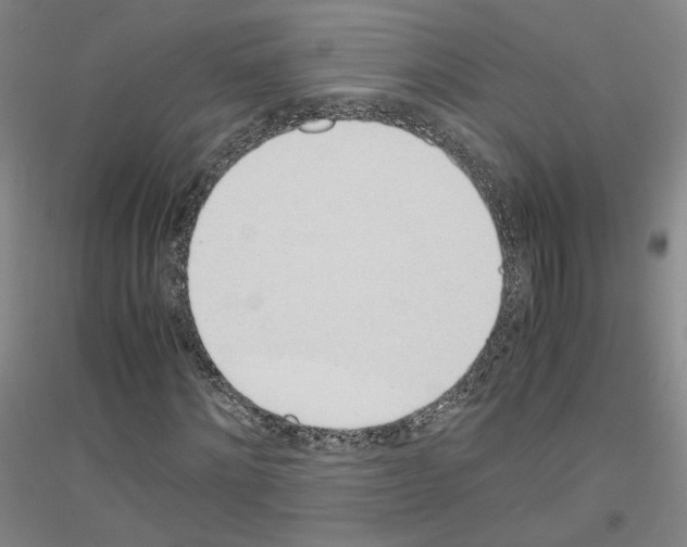 X0000116820868201001291620