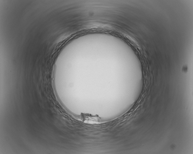 X0000116820869201001291620