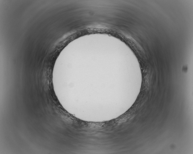 X0000116820870201001291620