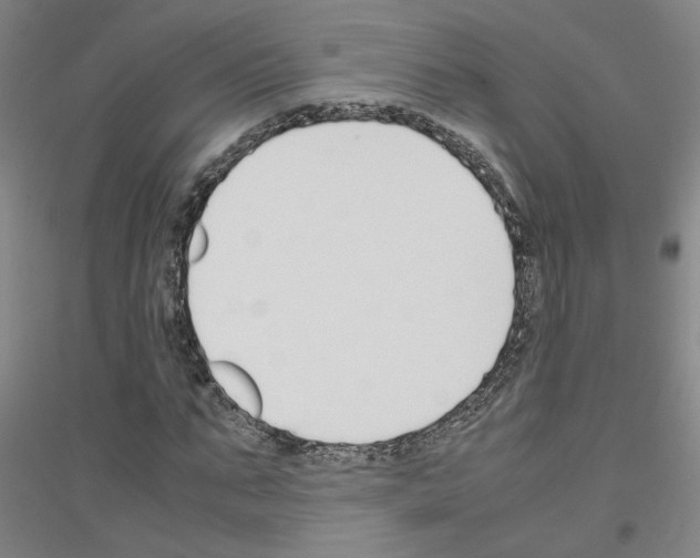 X0000116820871201001291620