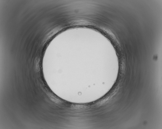 X0000116820873201001291620