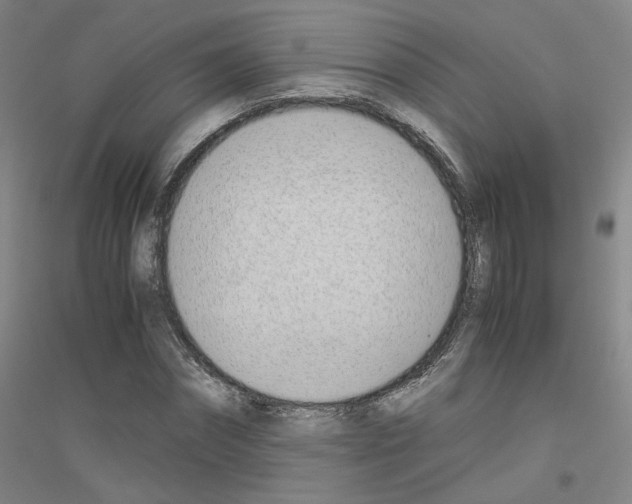 X0000116820874201001291620