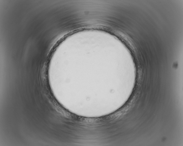 X0000116820875201001291620