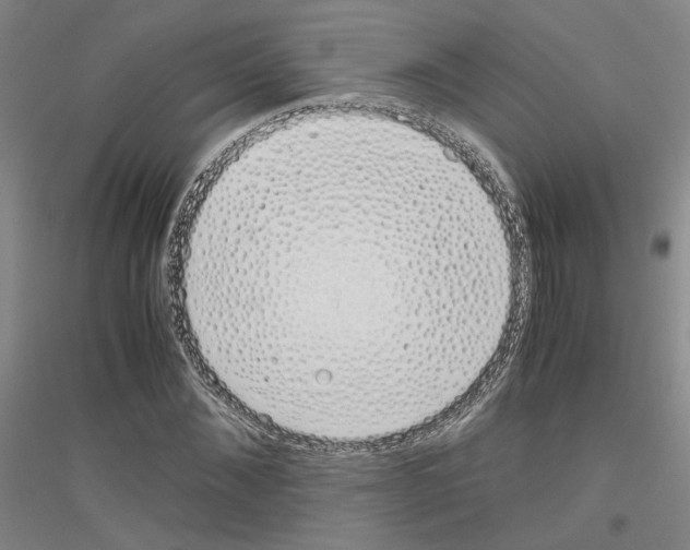 X0000116820876201001291620