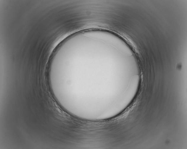 X0000116820877201001291620