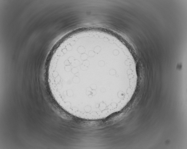 X0000116820879201001291620