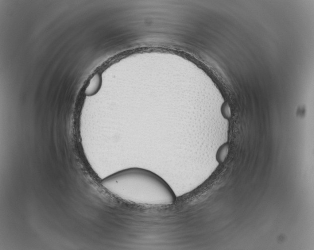 X0000116820880201001291620