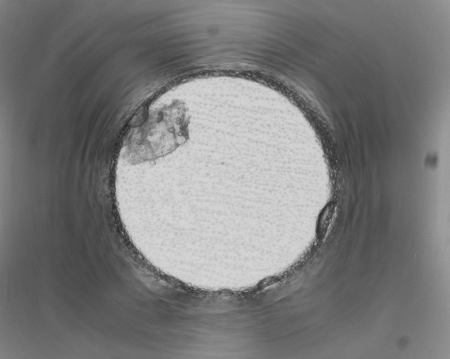 X0000116820881201001291620