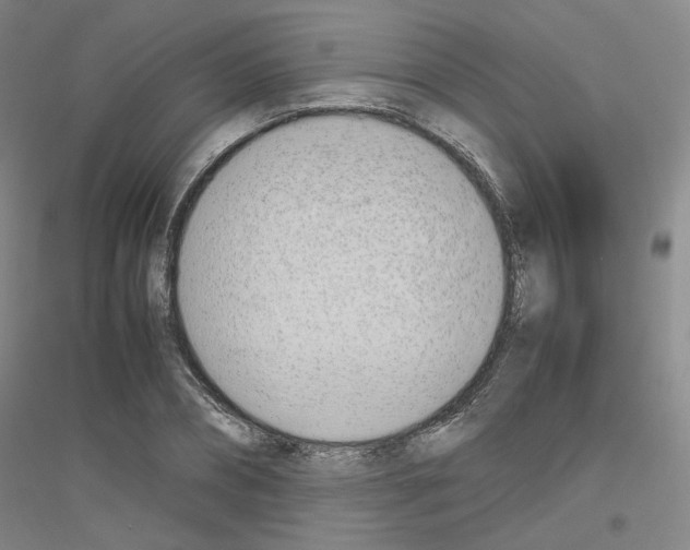 X0000116820882201001291620