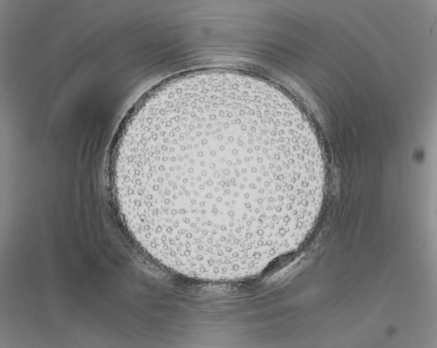 X0000116820883201001291620