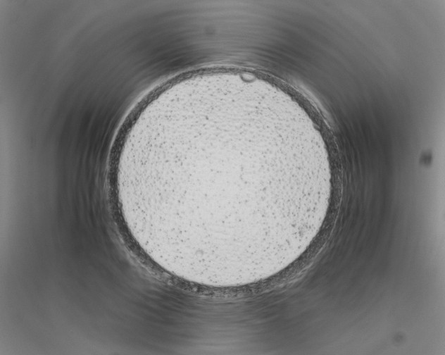 X0000116820884201001291620