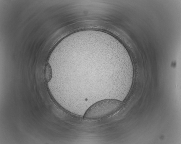 X0000116820889201001291620