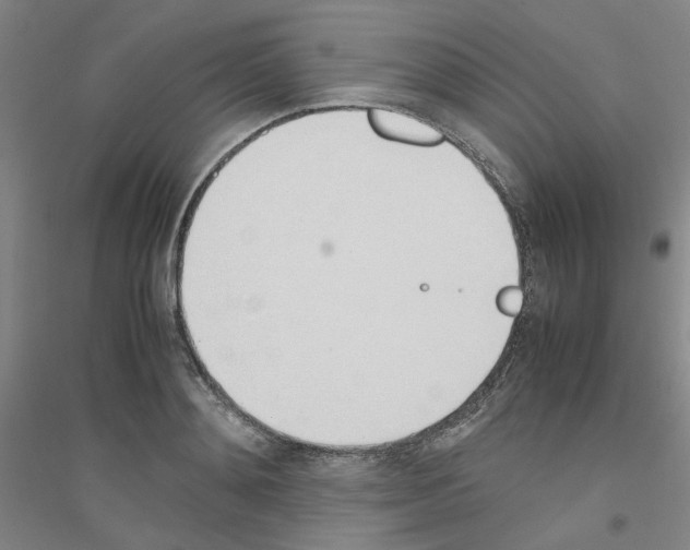 X0000116820892201001291620