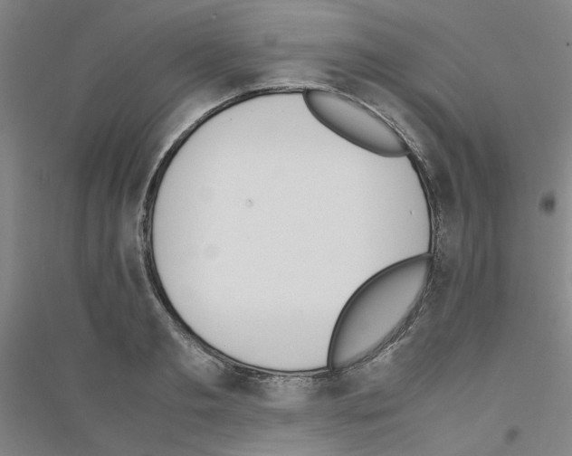 X0000116820893201001291620