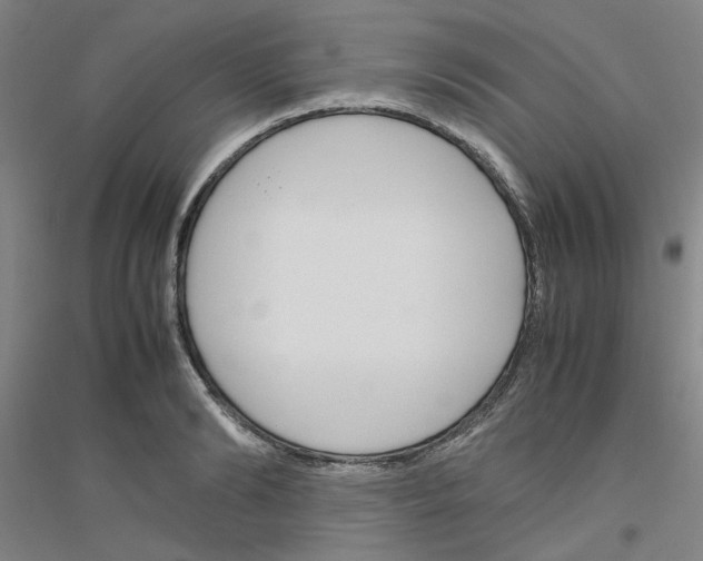 X0000116820894201001291620