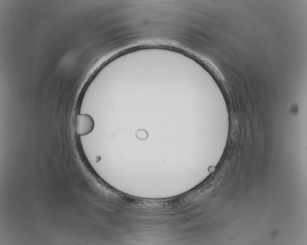 X0000116820895201001291620