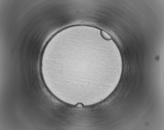 X0000116820896201001291620