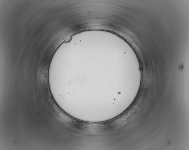 X0000116820897201001291620