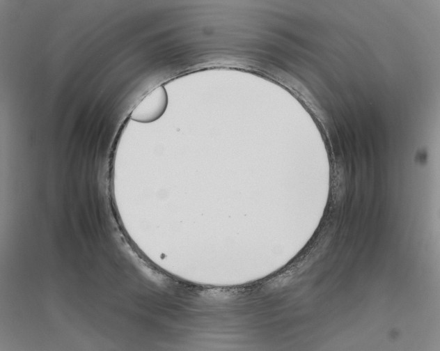 X0000116820898201001291620