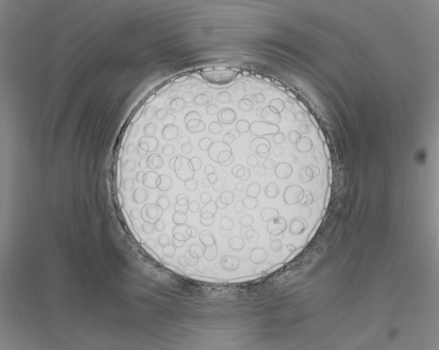 X0000116820899201001291620