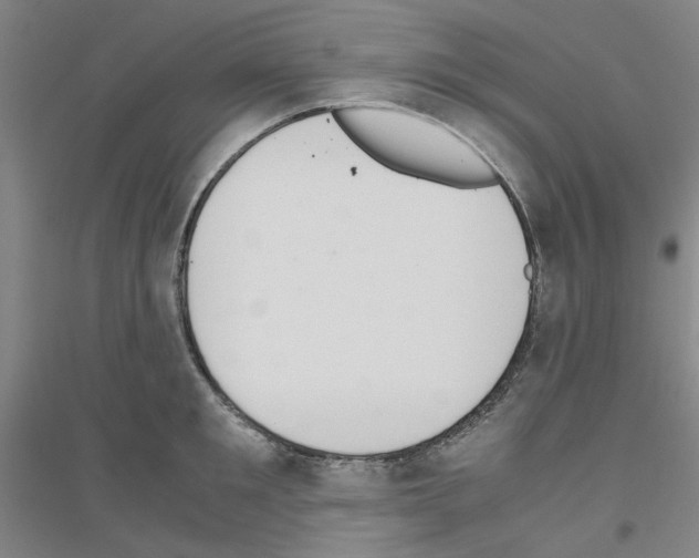 X0000116820901201001291619