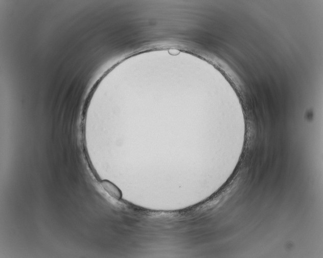 X0000116820902201001291619