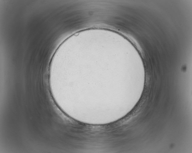 X0000116820903201001291619