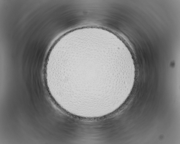 X0000116820904201001291619